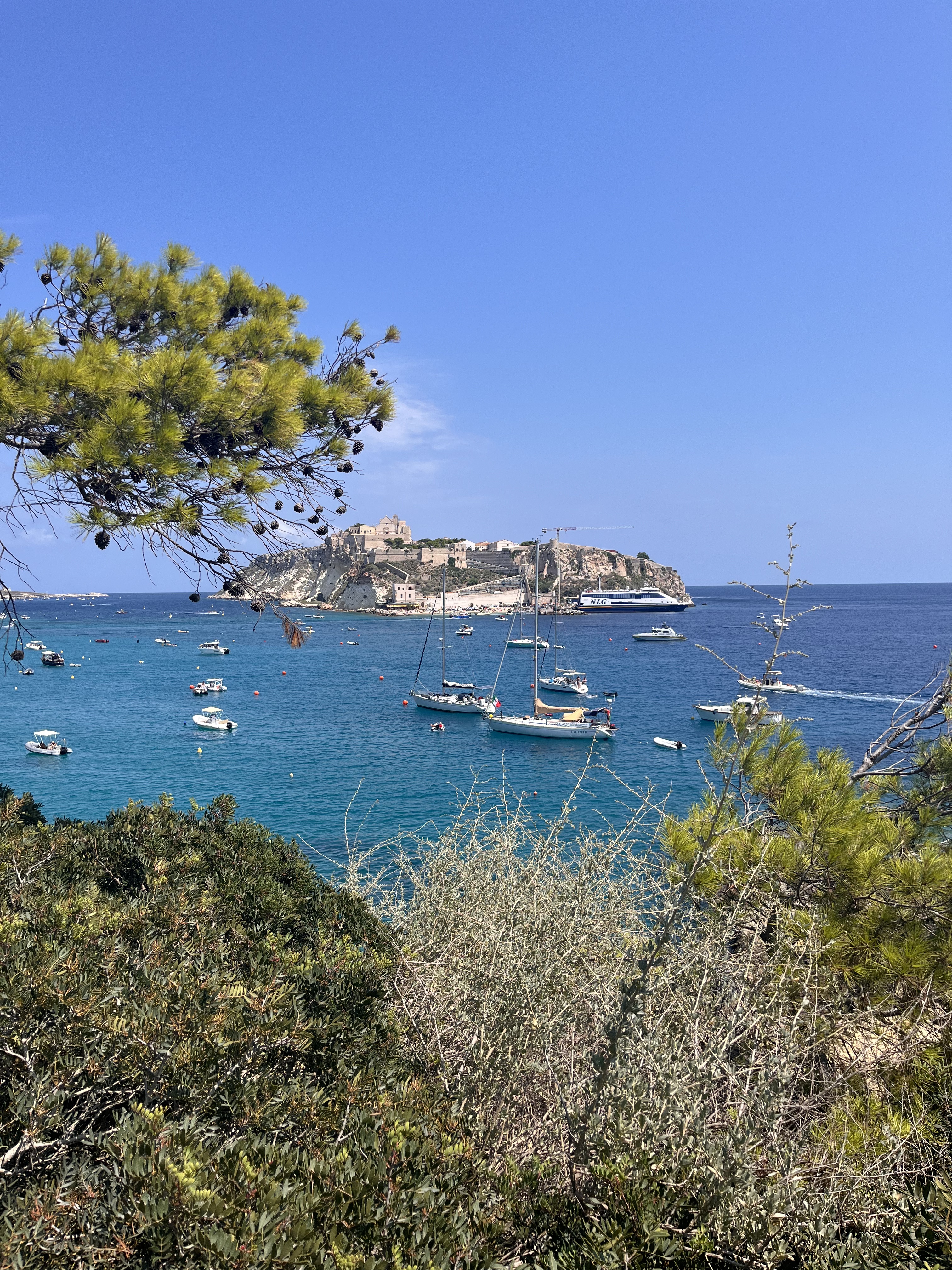 Le Isole Tremiti: Un Tesoro di Storia e Leggende nel Cuore dell’Adriatico